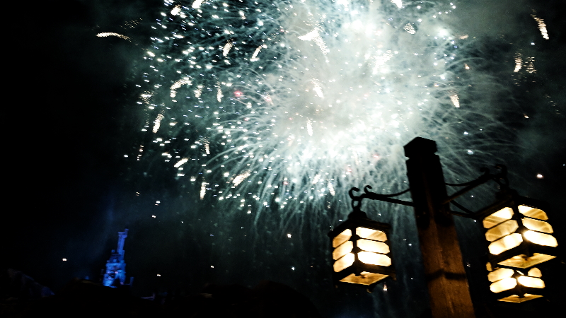 Study Identifies What Delights and Outrages Theme Park Visitors